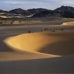 tenere desert